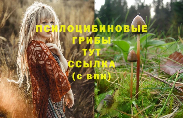 гашиш Абаза