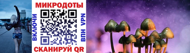 Галлюциногенные грибы Psilocybe  мега как зайти  Белоусово 